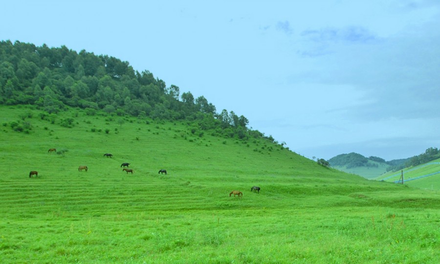 4118云顶集团·(中国)股份有限公司