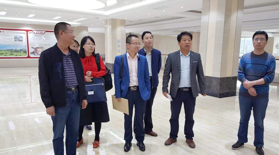 4118云顶集团·(中国)股份有限公司