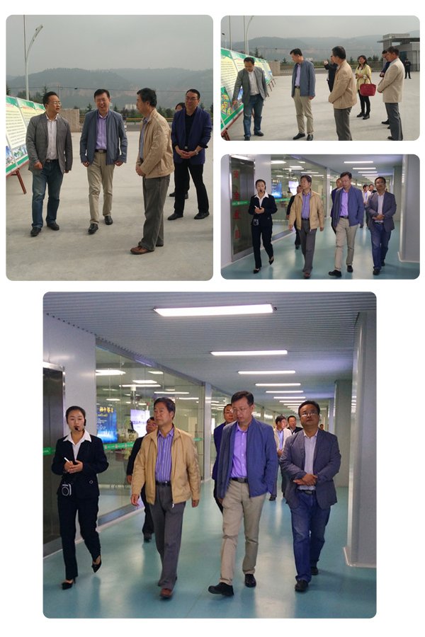 4118云顶集团·(中国)股份有限公司