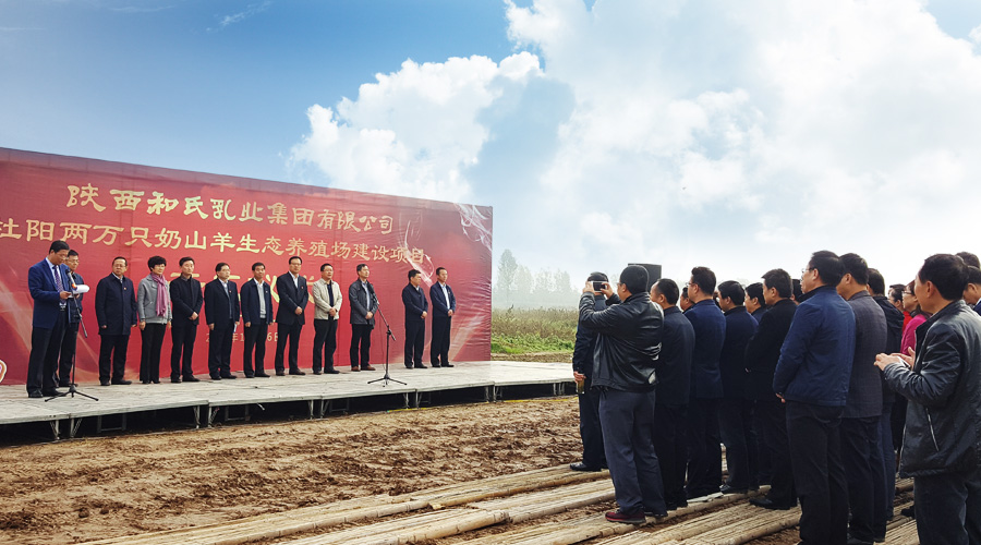 4118云顶集团·(中国)股份有限公司