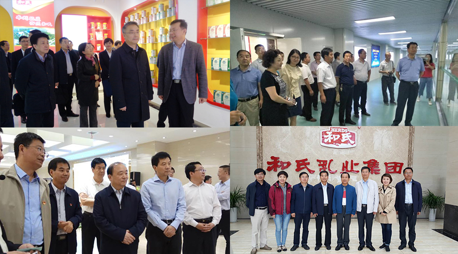 4118云顶集团·(中国)股份有限公司