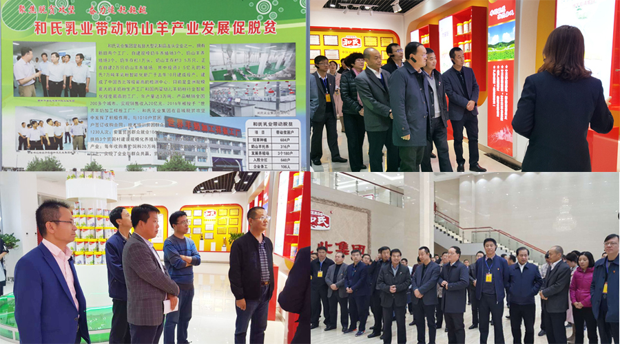 4118云顶集团·(中国)股份有限公司