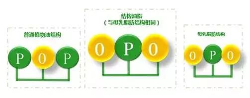 4118云顶集团·(中国)股份有限公司