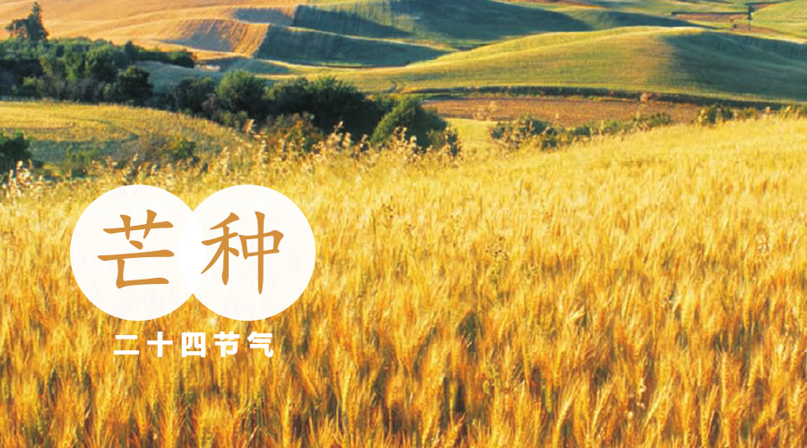 4118云顶集团·(中国)股份有限公司