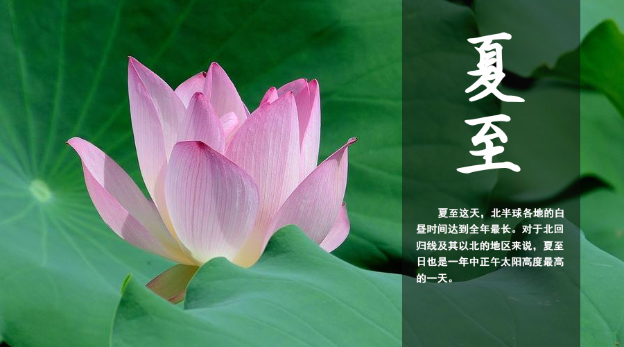 4118云顶集团·(中国)股份有限公司