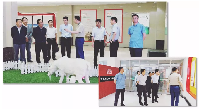 4118云顶集团·(中国)股份有限公司