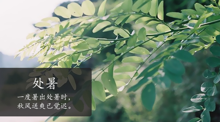 4118云顶集团·(中国)股份有限公司