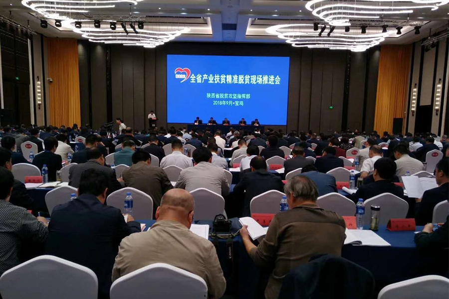 4118云顶集团·(中国)股份有限公司