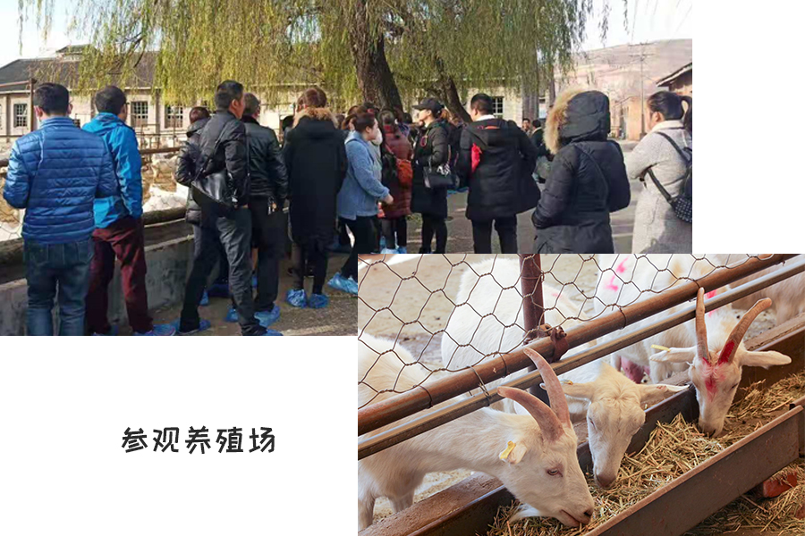 4118云顶集团·(中国)股份有限公司