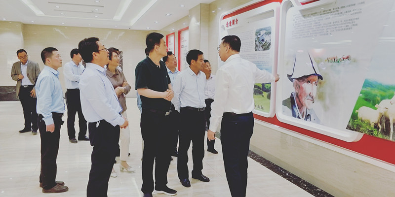 4118云顶集团·(中国)股份有限公司