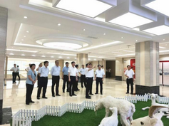 4118云顶集团·(中国)股份有限公司