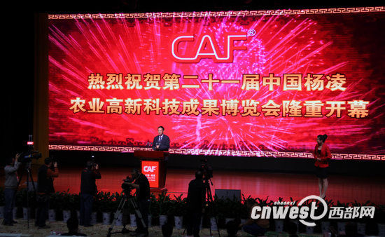 4118云顶集团·(中国)股份有限公司