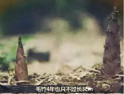 4118云顶集团·(中国)股份有限公司