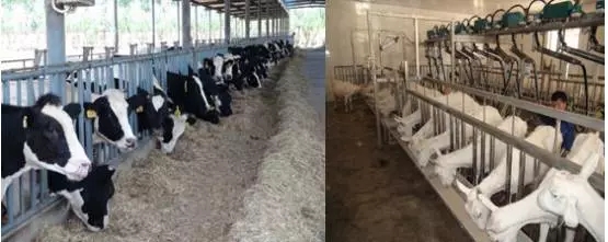 4118云顶集团·(中国)股份有限公司