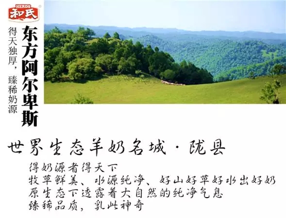 4118云顶集团·(中国)股份有限公司