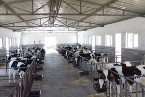 4118�ƶ����š�(�й�)�ɷ����޹�˾