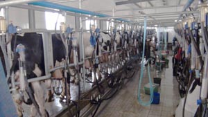 4118�ƶ����š�(�й�)�ɷ����޹�˾