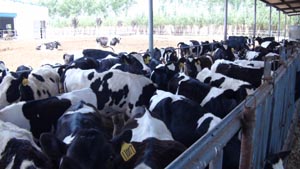 4118�ƶ����š�(�й�)�ɷ����޹�˾